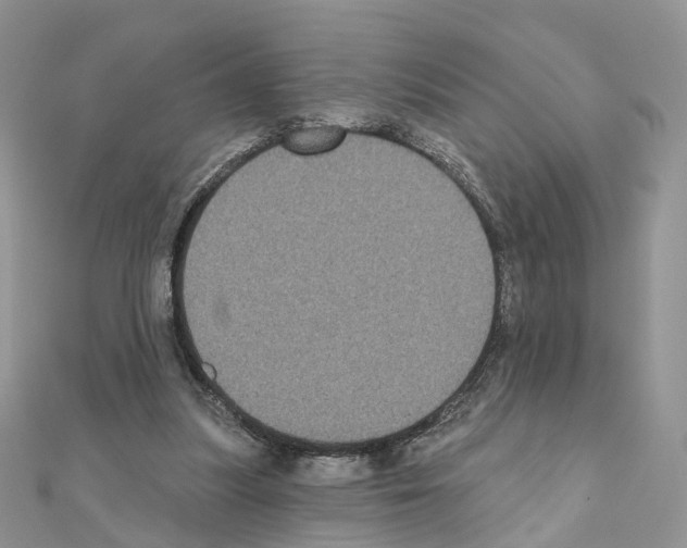 X0000111000251200907311037