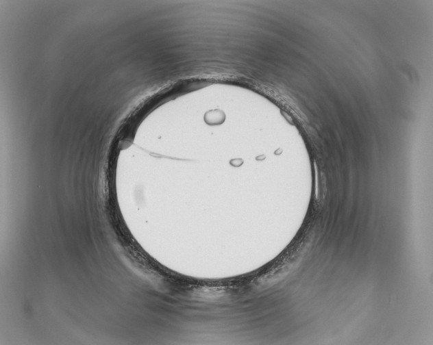 X0000111000252200907311037