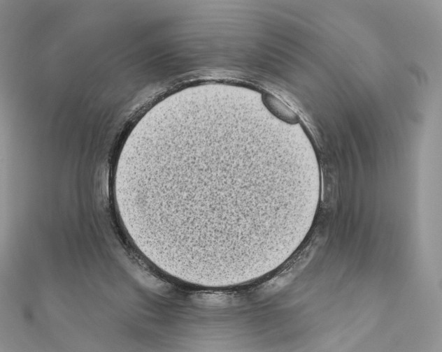 X0000111000253200907311037