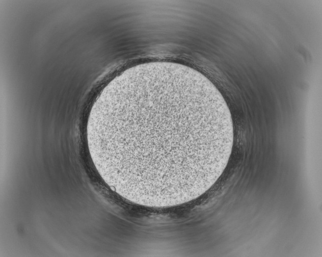 X0000111000256200907311037