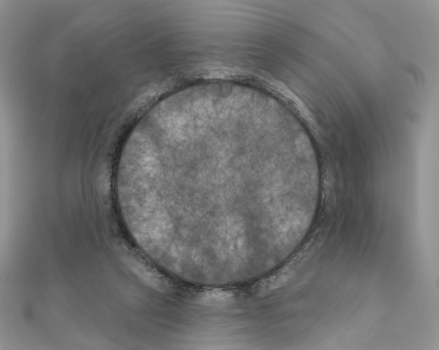 X0000111000257200907311037