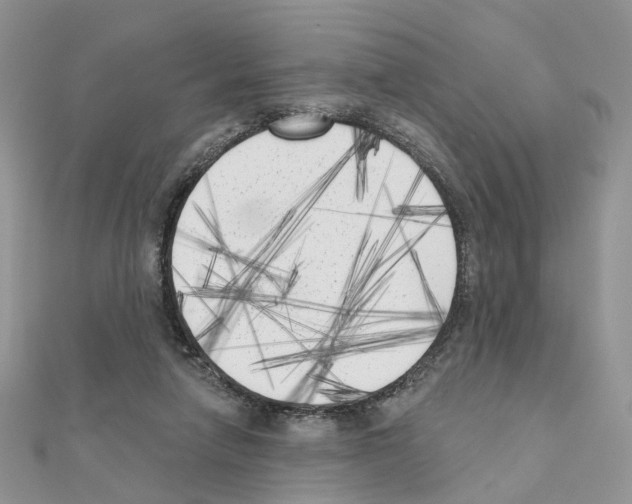 X0000111000258200907311037