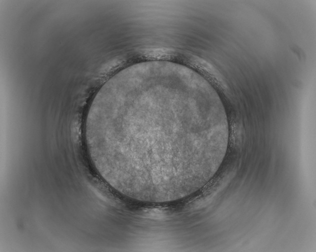 X0000111000259200907311037