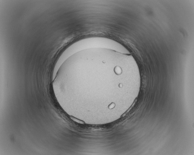 X0000111000260200907311037