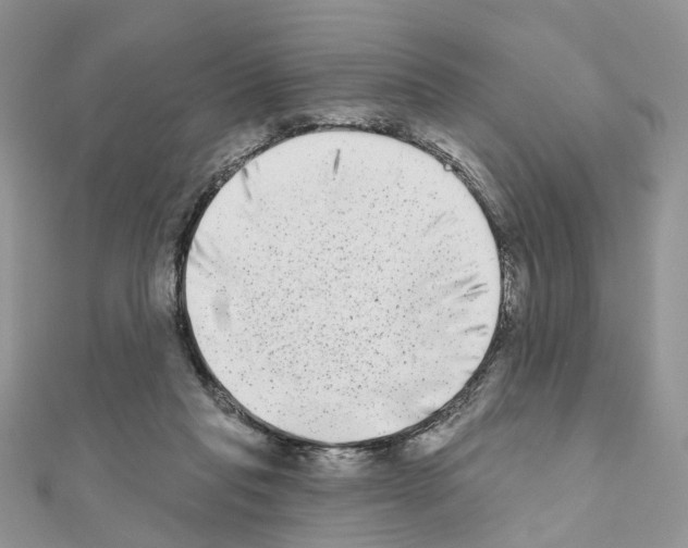 X0000111000261200907311037