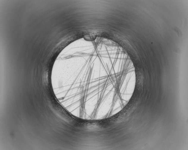 X0000111000262200907311037