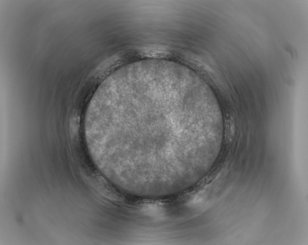 X0000111000263200907311037