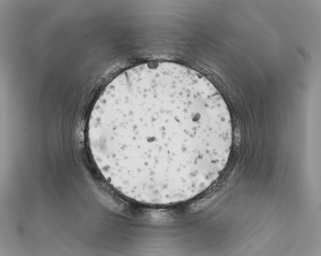 X0000111000264200907311037