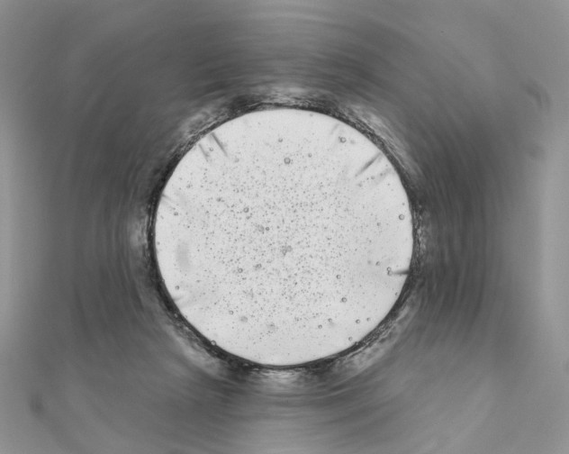 X0000111000265200907311037