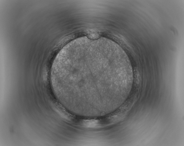 X0000111000266200907311037