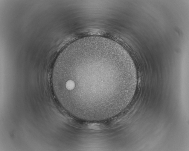 X0000111000268200907311037