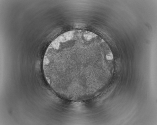 X0000111000269200907311037