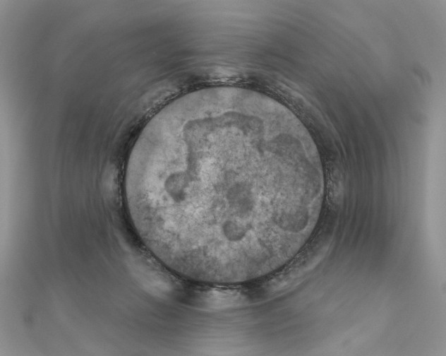 X0000111000270200907311037