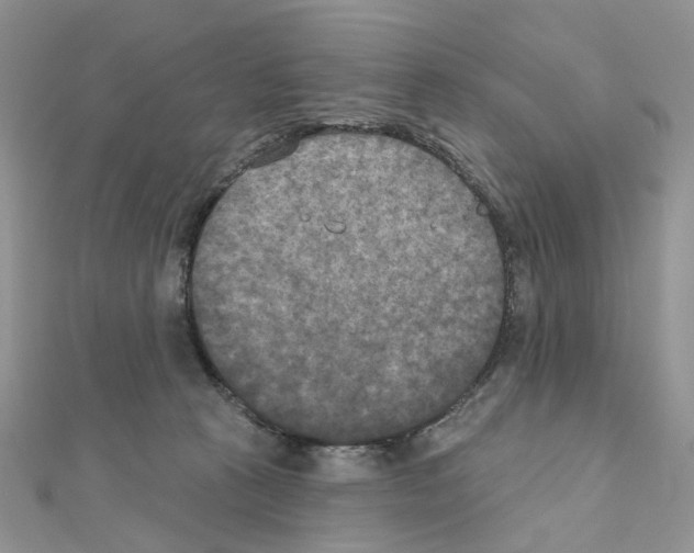 X0000111000273200907311037