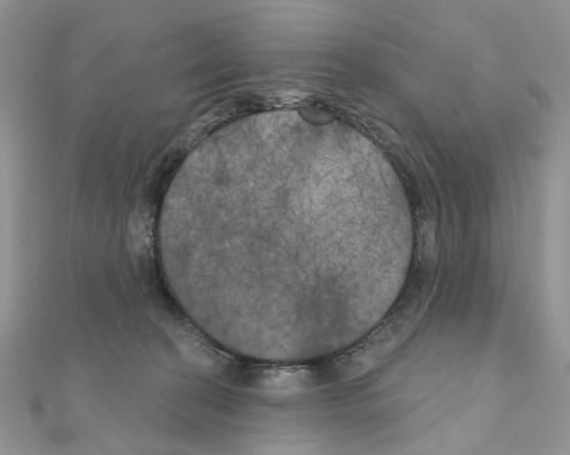 X0000111000274200907311037