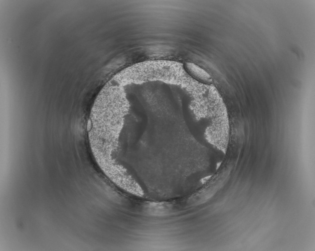 X0000111000277200907311037