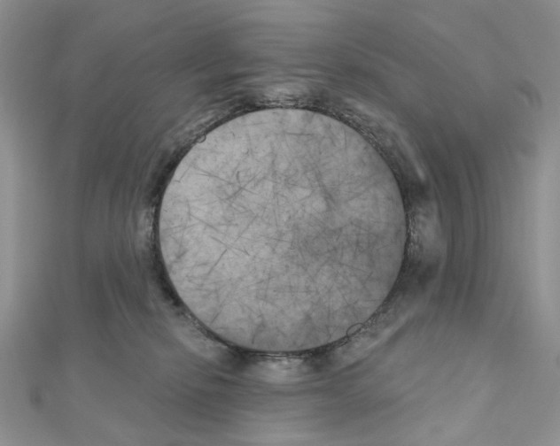 X0000111000278200907311037