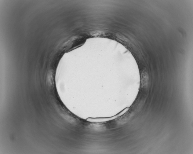 X0000111000280200907311037