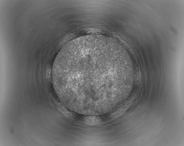 X0000111000281200907311037