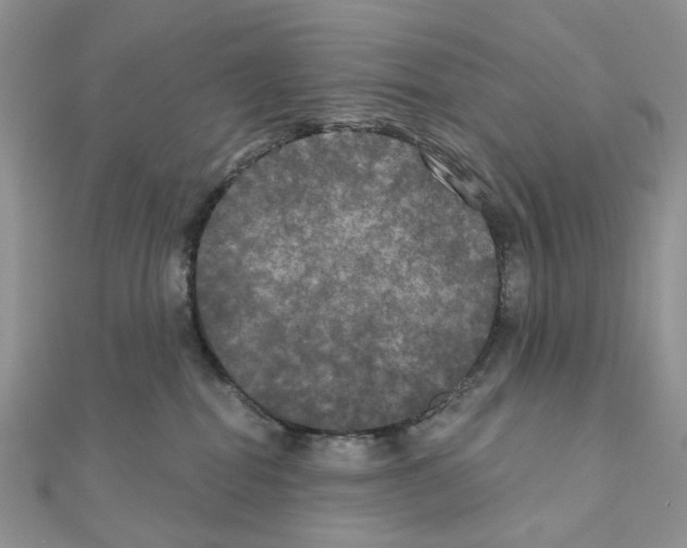 X0000111000282200907311037