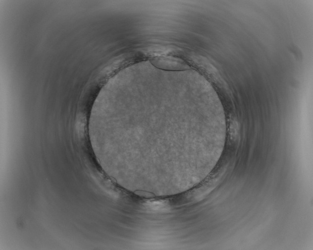 X0000111000283200907311037