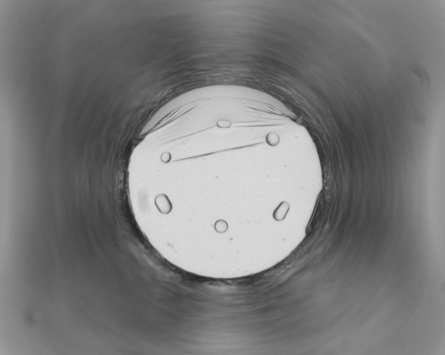 X0000111000284200907311037