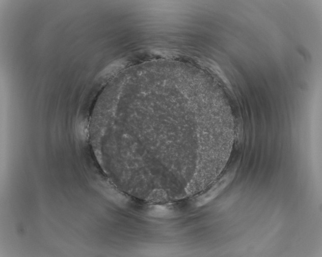 X0000111000285200907311037