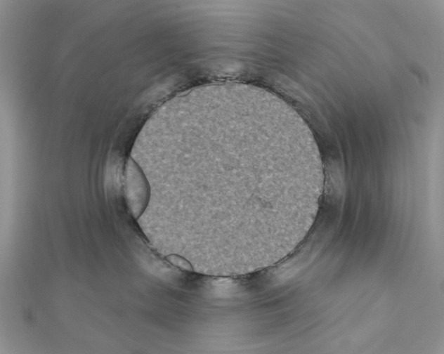 X0000111000287200907311037