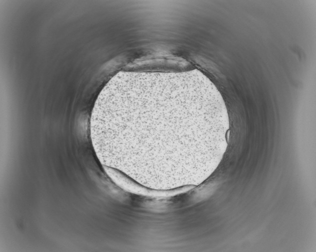 X0000111000288200907311037