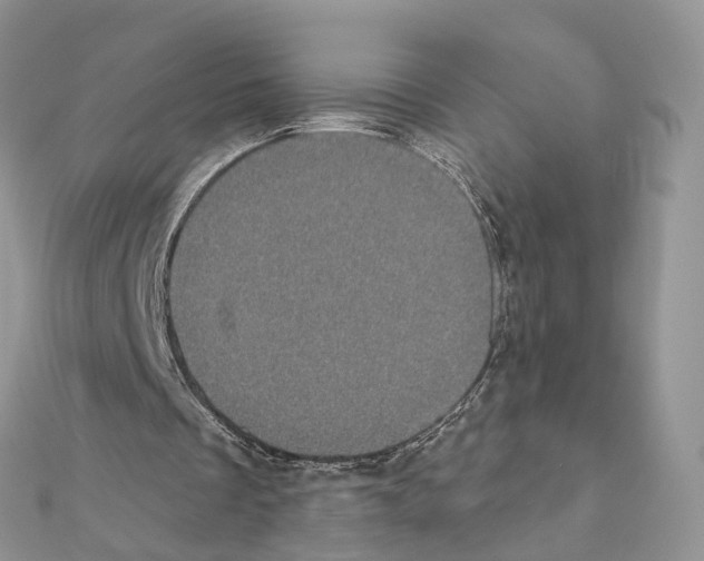 X0000111000289200907311037