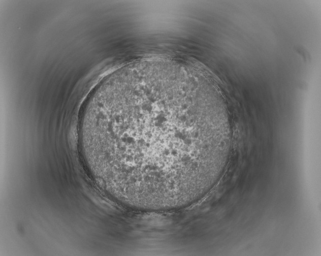 X0000111000290200907311037