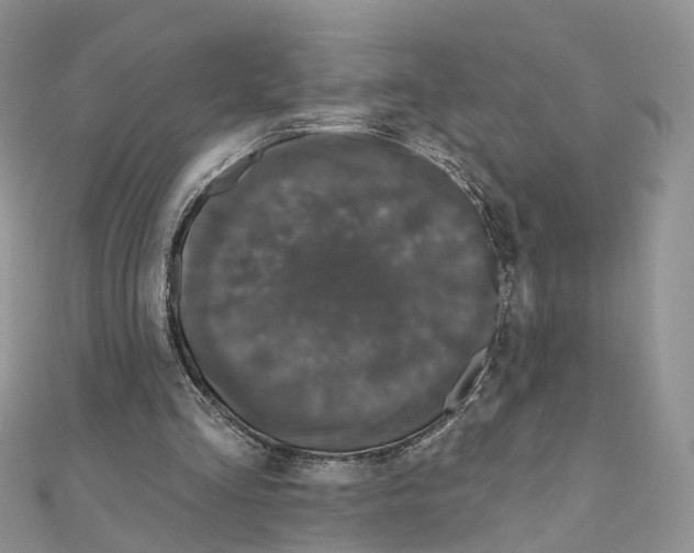 X0000111000293200907311037