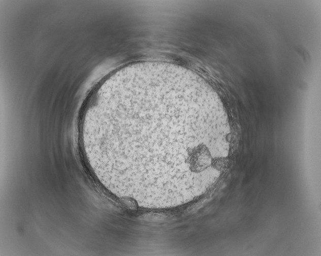 X0000111000294200907311037