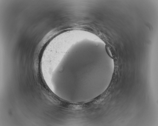 X0000111000295200907311037