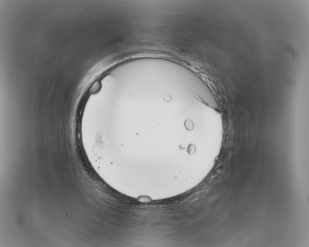 X0000111000296200907311037