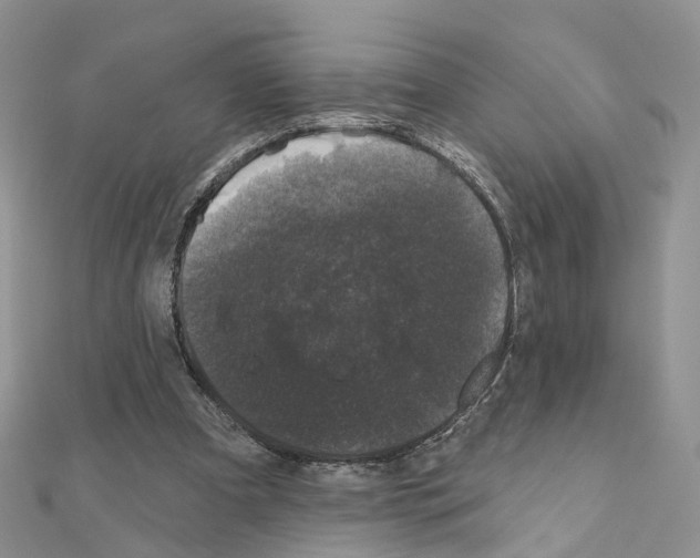 X0000111000297200907311037