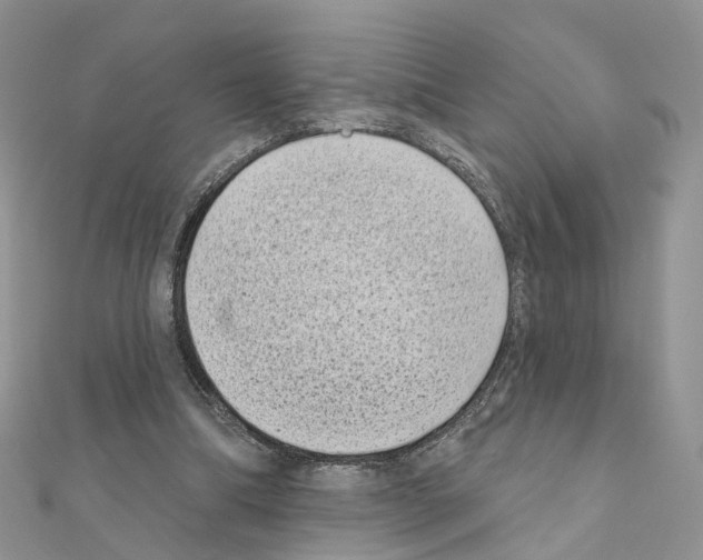 X0000111000298200907311037