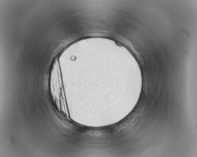 X0000111000299200907311036