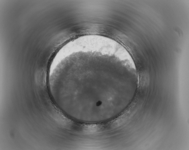 X0000111000301200907311036