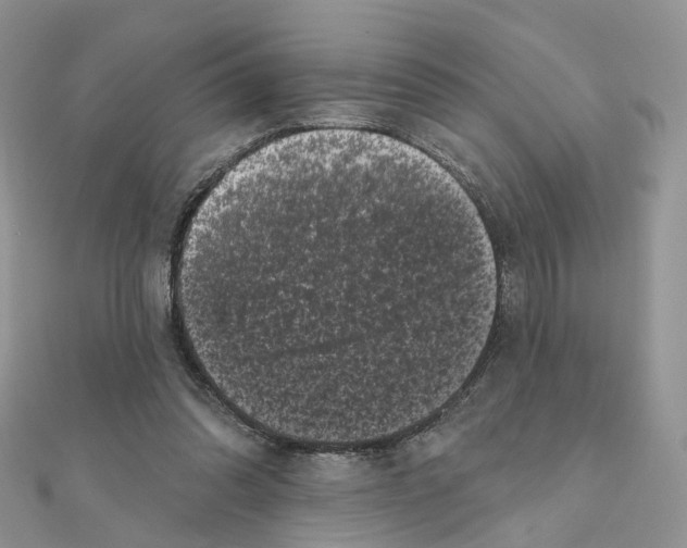 X0000111000302200907311036