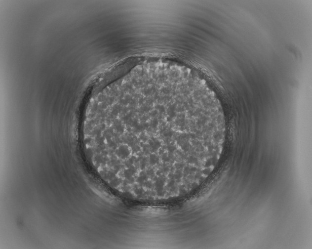 X0000111000303200907311036