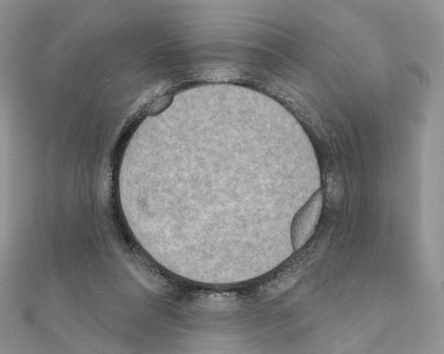 X0000111000304200907311036