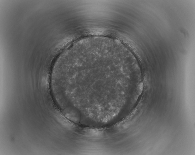 X0000111000305200907311036