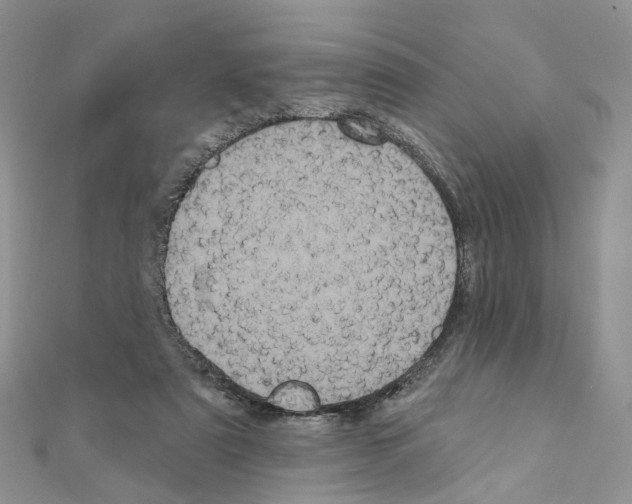 X0000111000307200907311036