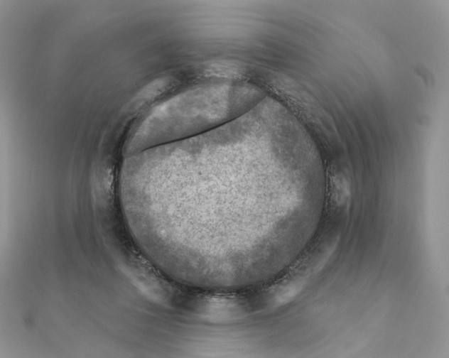 X0000111000308200907311036