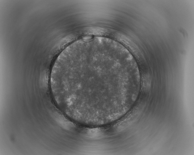 X0000111000309200907311036