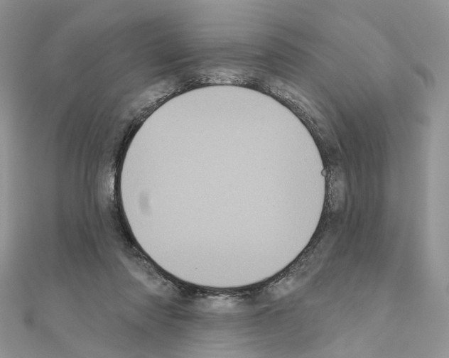 X0000111000310200907311036