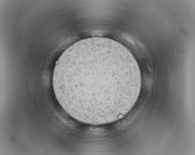 X0000111000311200907311036