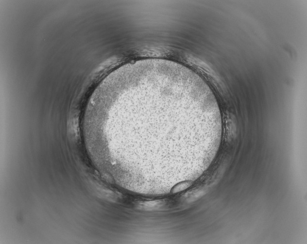 X0000111000312200907311036