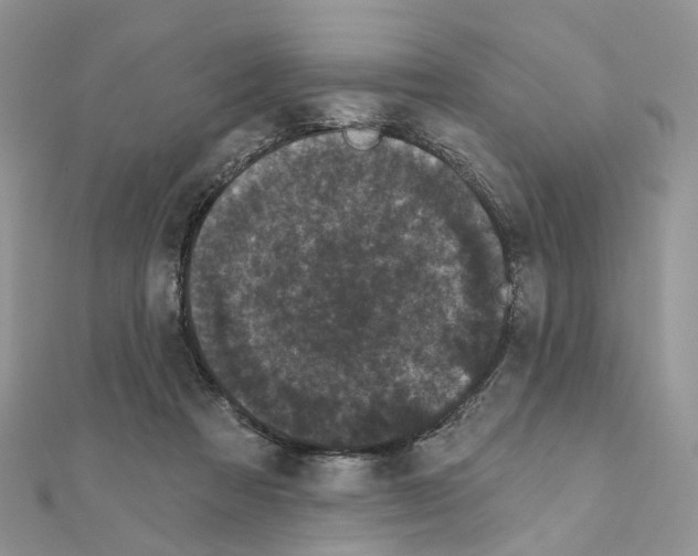 X0000111000313200907311036